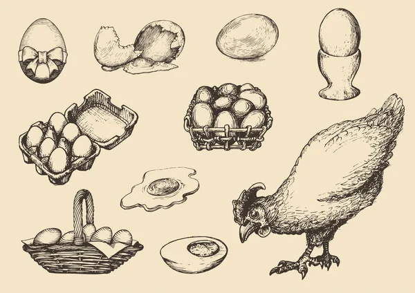 Illustrazioni grafiche dei prodotti avicoli in vettore. Set disegnato a mano di produzione hennery in stile incisione . — Vettoriale Stock