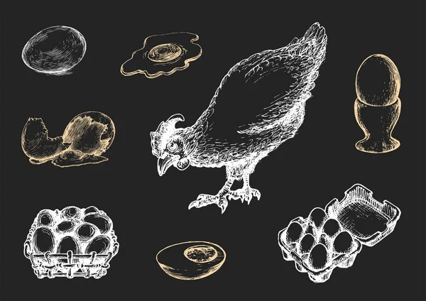 Графические иллюстрации продукции птицеводства в векторе. Ручной набор изделий из хеннери в стиле гравировки . — стоковый вектор