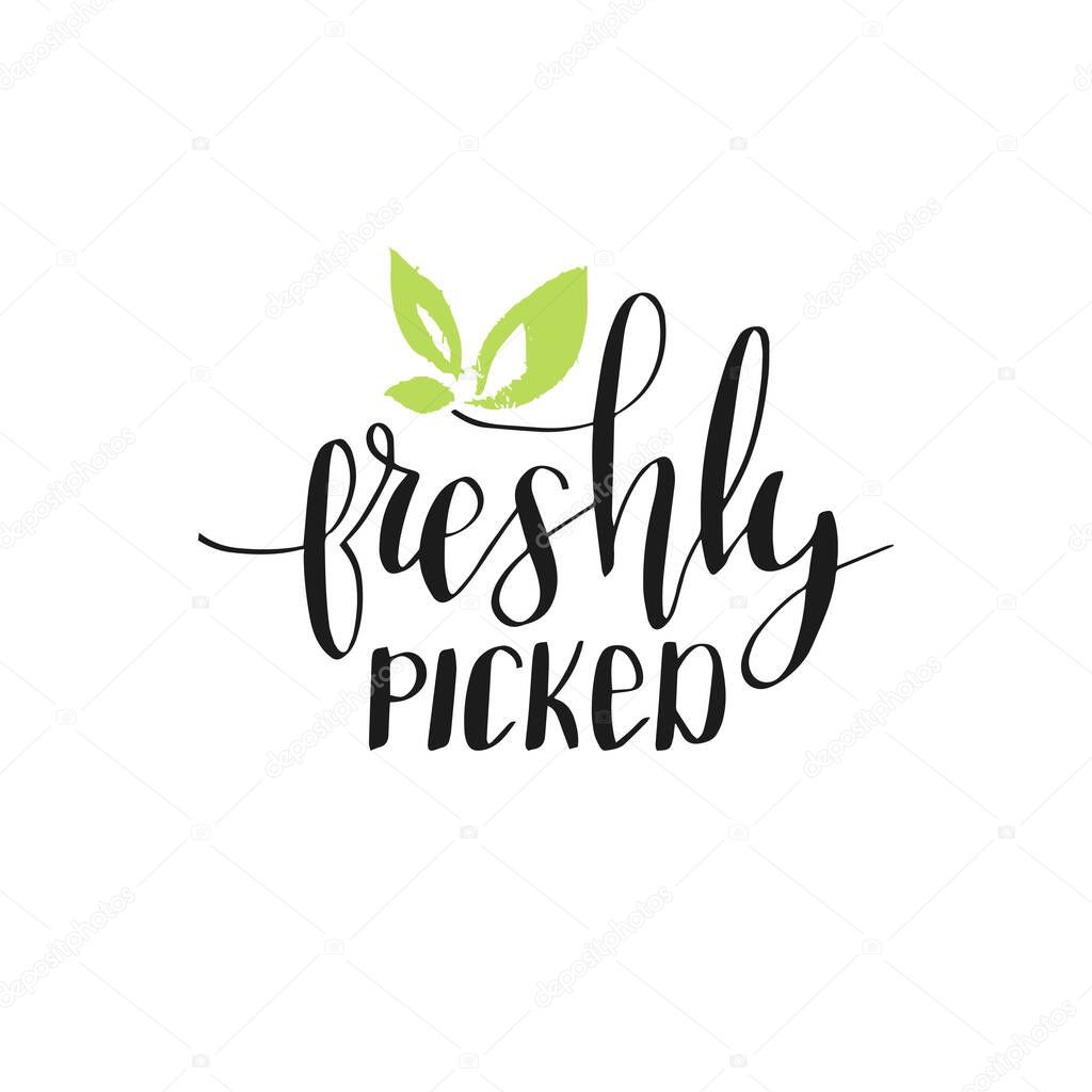 Freshly Picked hand lettering. Eco, organic food logo. Healthy farm sign vector illustration. Tag for products packaging
