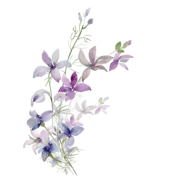 色の付いた背景上の野生の花のパターン — ストック写真