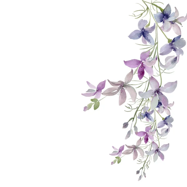 Шаблон диких цветов на цветном фоне — стоковое фото