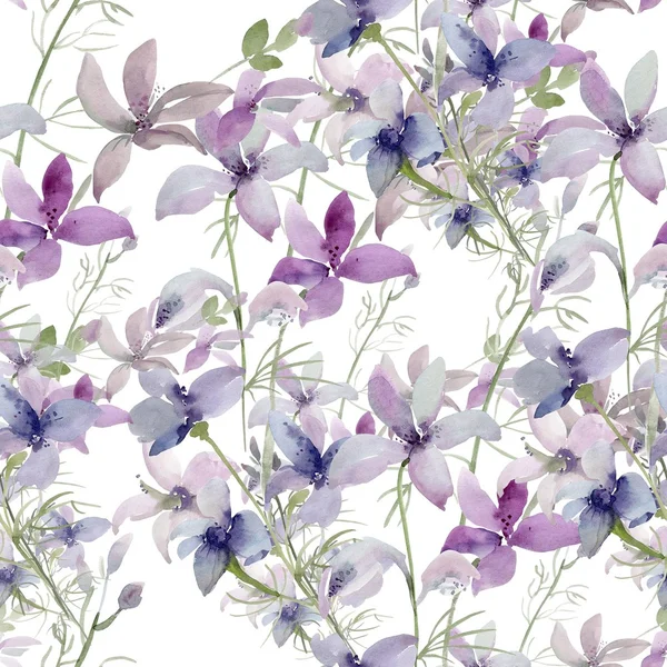 Seamless pattern of wild flowers on a colored background — Stock Photo, Image