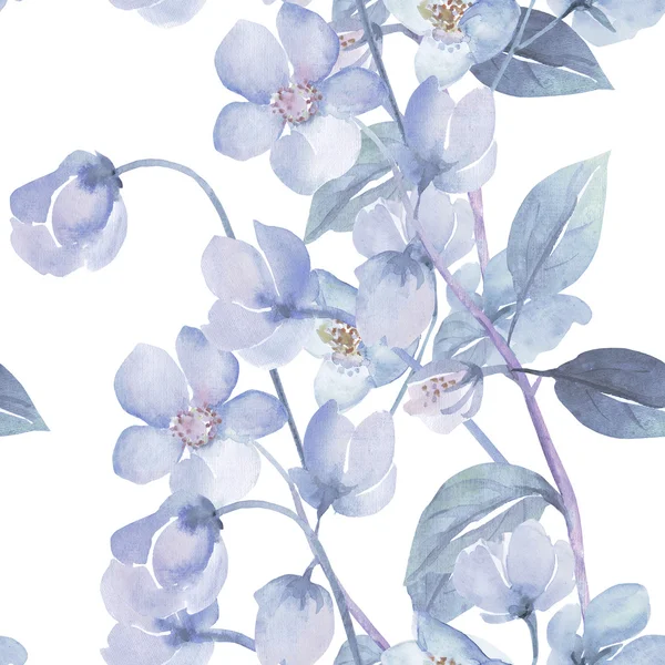 Nahtlose Aquarellblumen aus Rosmarin auf farbigem Hintergrund — Stockfoto