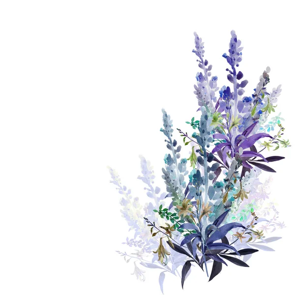 Akwarela ilustracja kwiaty, malarstwo na białe i kolorowe tło — Zdjęcie stockowe