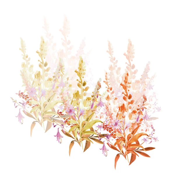 Ilustración en acuarela de flores silvestres, pintura sobre fondo blanco y coloreado —  Fotos de Stock