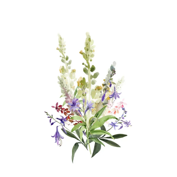 Akvarell illustration av vildblommor, målning på en vit och färgad bakgrund — Stockfoto