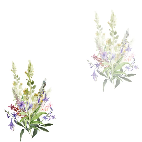 Akvarell illustration av vildblommor, målning på en vit och färgad bakgrund — Stockfoto