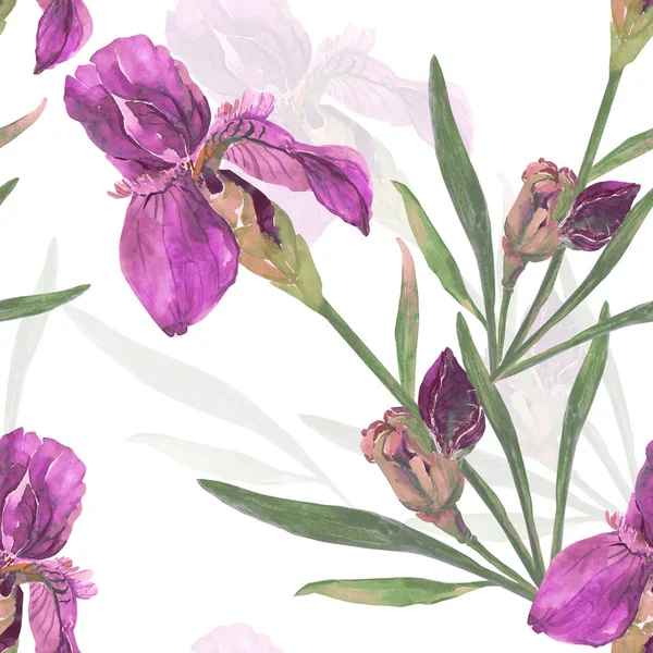 Modello senza cuciture di iris su uno sfondo ad acquerello a colori — Foto Stock