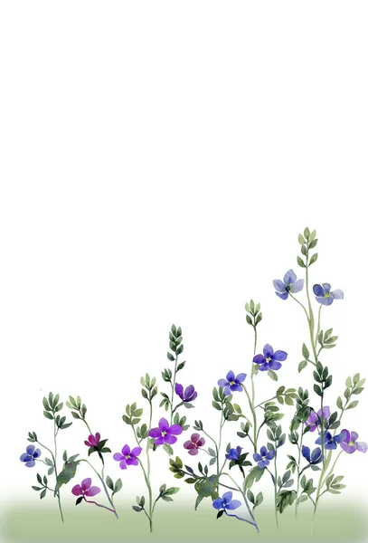 青と赤の小さな春の花、画像パターン — ストック写真