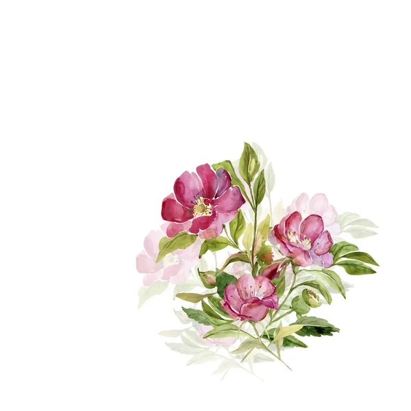 Ramo florido dos quadris rosados — Fotografia de Stock