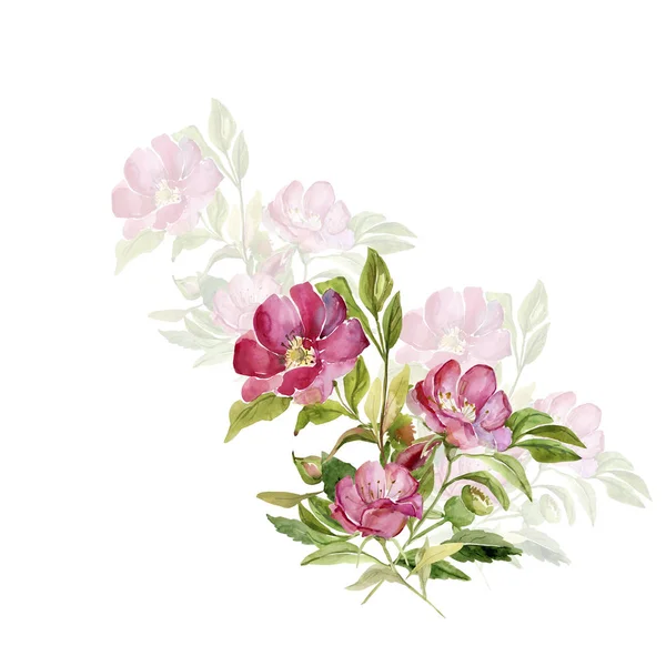 Bloeiende tak van rozenbottels — Stockfoto