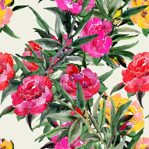 Peonies seamless   pattern,flowers watercolor illustration — Stock Photo, Image