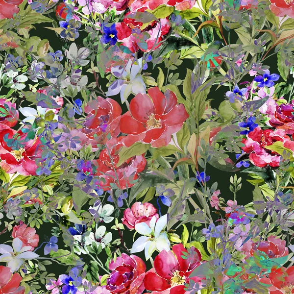 Bouquet de différentes variétés de fleurs d'été — Photo