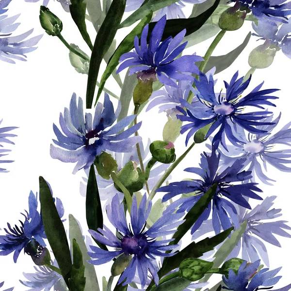 Illustration aquarelle d'un bouquet de fleurs sauvages, bleuets sur fond coloré — Photo