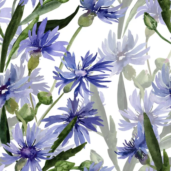 Ilustrasi warna air dari karangan bunga liar, bunga cornflowers pada latar belakang berwarna. — Stok Foto