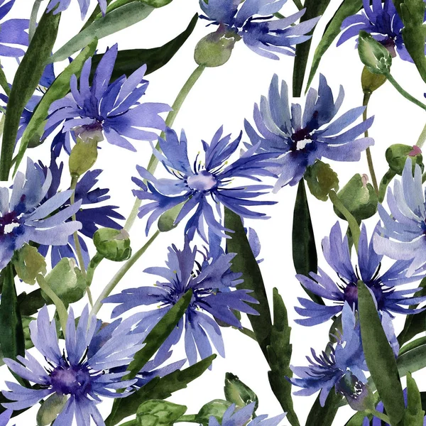 Aquarel illustratie van een boeket van wilde bloemen, korenbloemen op een gekleurde achtergrond. — Stockfoto