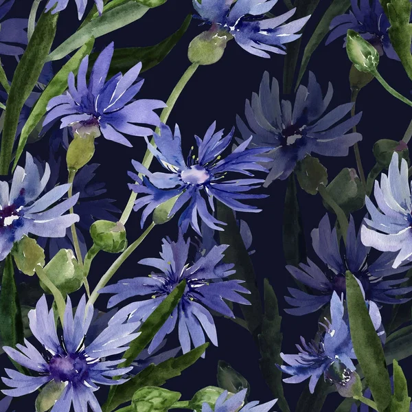 Illustration aquarelle d'un bouquet de fleurs sauvages, bleuets sur fond coloré . — Photo