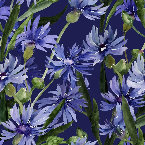 Ilustrasi warna air dari karangan bunga liar, bunga cornflowers pada latar belakang berwarna. — Stok Foto