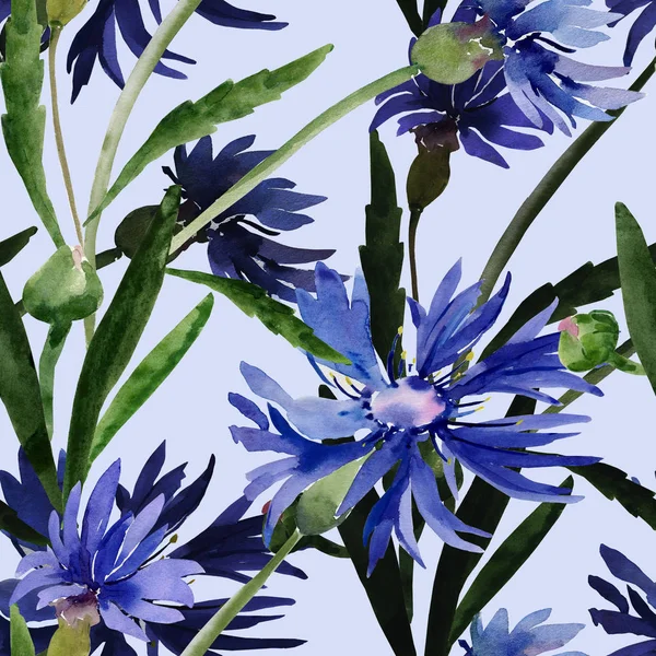 Aquarel illustratie van een boeket van wilde bloemen, korenbloemen op een gekleurde achtergrond. — Stockfoto
