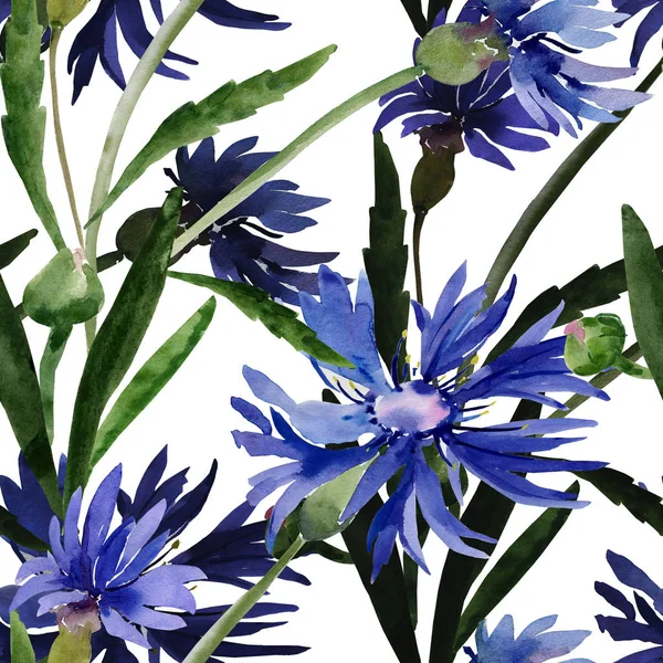 Ilustrasi warna air dari karangan bunga liar, bunga cornflowers pada latar belakang berwarna. — Stok Foto