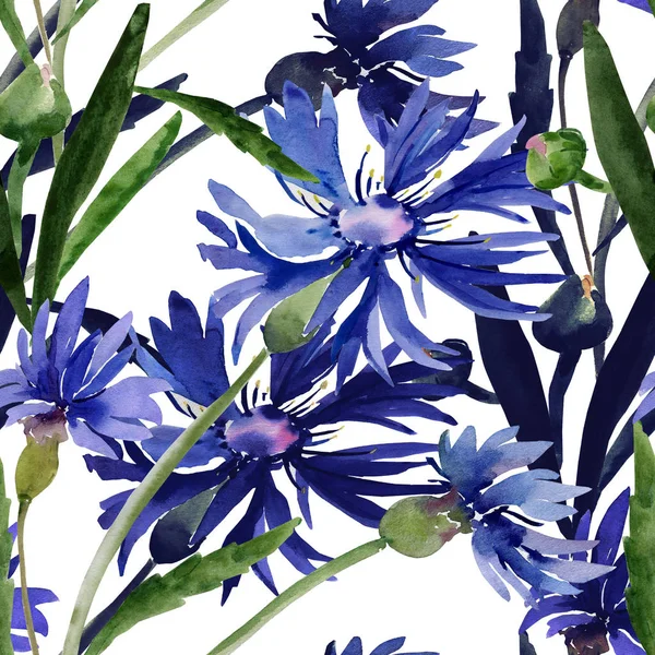 Ilustrasi warna air dari karangan bunga liar, bunga cornflowers pada latar belakang berwarna. — Stok Foto