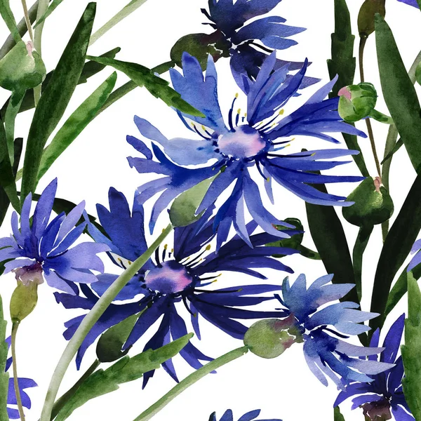 Illustration aquarelle d'un bouquet de fleurs sauvages, bleuets sur fond coloré . — Photo