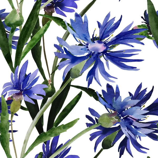 Acuarela ilustración de un ramo de flores silvestres, acianos sobre un fondo de color . — Foto de Stock