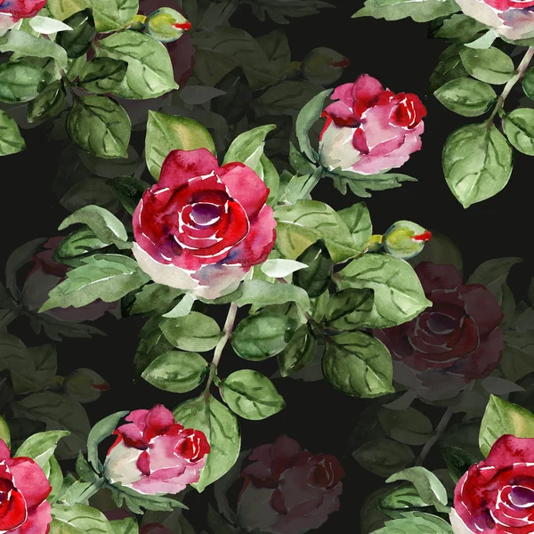 Rose Motif Sans Couture Sur Fond Coloré — Photo