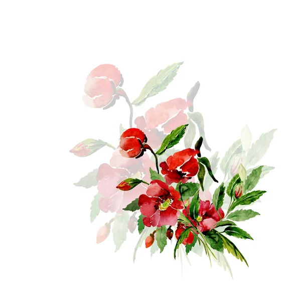 Watercolor Illustration Flowering Briar Branch — Stock Photo, Image