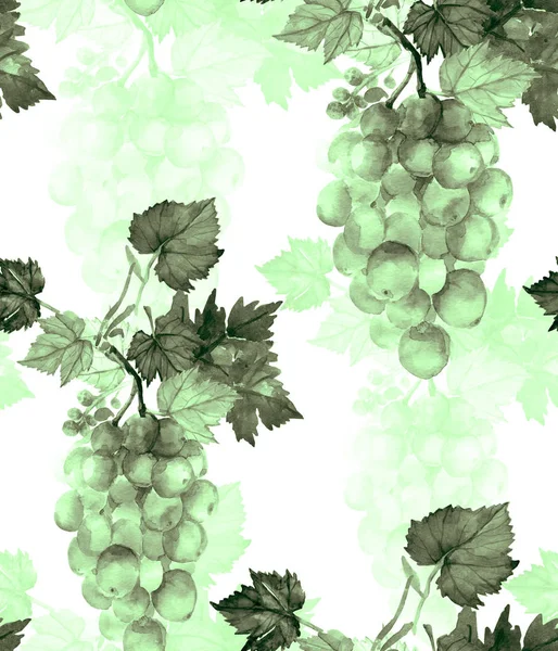 ブドウと葉の水彩シームレスなパターン ブドウ品種カーディナル — ストック写真