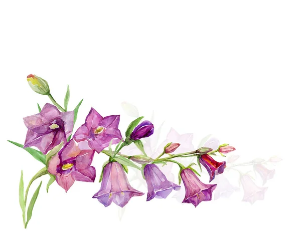 Watercolor Bells Pattern Image White Color Background — Stock Photo, Image