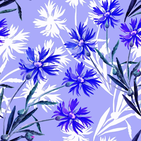 Ilustrasi Warna Air Dari Karangan Bunga Liar Bunga Cornflowers Pada — Stok Foto