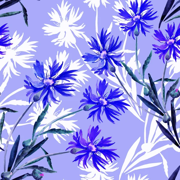 Illustration Aquarelle Bouquet Fleurs Sauvages Bleuets Sur Fond Coloré — Photo