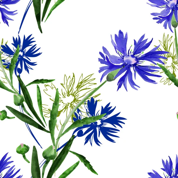 Watercolor Illustration Bouquet Wildflowers Cornflowers Colored Background — Stock Photo, Image