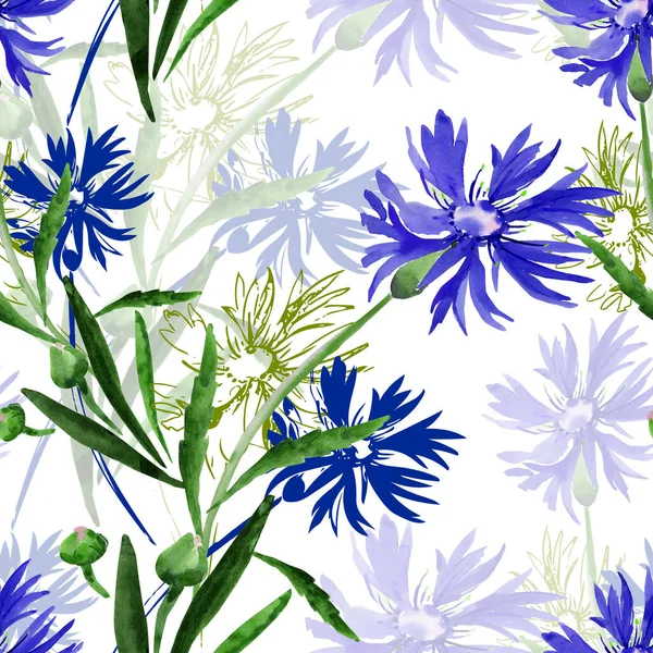 Akwarela Ilustracja Bukiet Dzikich Kwiatów Kwiaty Kukurydzy Kolorowym Tle — Zdjęcie stockowe