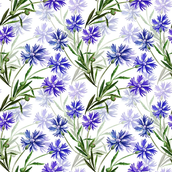 Akvarel Ilustrace Kytice Divokých Květin Chrpy Barevném Pozadí — Stock fotografie