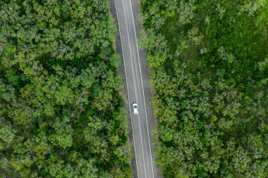 Yeşil yaz ormanının hava manzaralı bir yolu ve arabası var. Avustralya 'da bir İHA ile yukarıdan yakalandı..