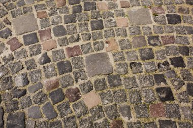 Lviv merkezi eski dekoratif parke taşı