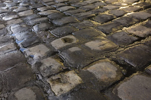 Fragmento de pedras de pavimentação molhadas após a chuva com luz do sol — Fotografia de Stock