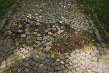 Kent parkta çim ile Kömür topakları kırık