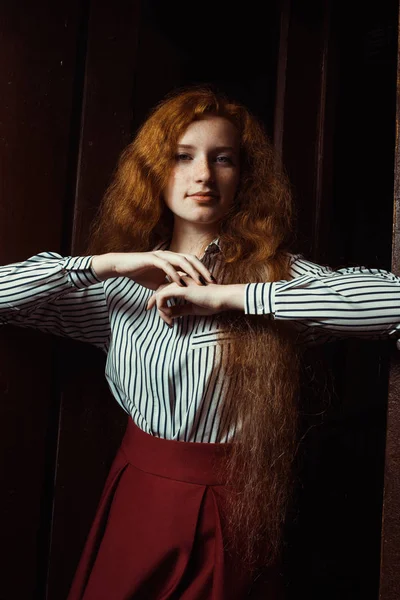 Primer plano de modelo de pelo rojo magnífico con el pelo largo y exuberante. W —  Fotos de Stock