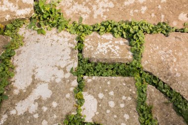 Kayalar ve aralarında büyüyen çimen döşeli yol