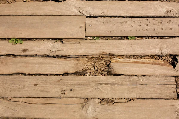 Closeup fragment of cracked wood floor with nails and holes