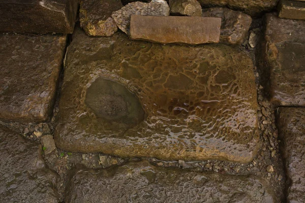 Фрагмент старого камня с водой — стоковое фото