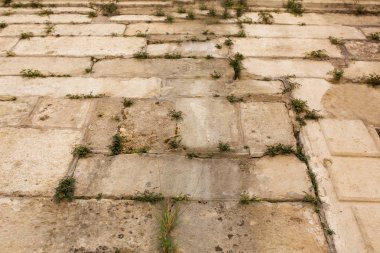 Eski taşlar ve aralarında büyüyen çimen döşeli duvar