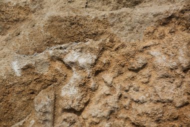 Closeup çekim bir sarı kum taşı