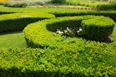 Konutun dış tasarımı.