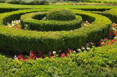 Bahçedeki manzara tasarımı çok güzel.