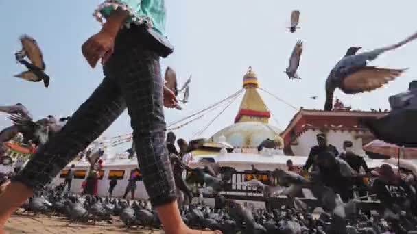 KATHMANDU, NEPAL - CIRCA, 2019: Girl walks through flock of doves on square — Stock Video
