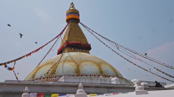 尼泊尔加德满都- - Circa，2019年：世界上最大的Boudhanath stupa — 图库视频影像